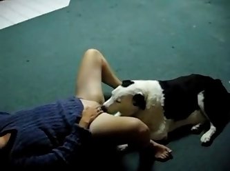 Painfull Dog Fuck
