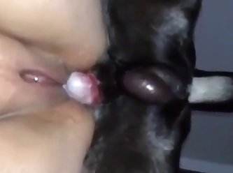 Dog Fuck Tgirl