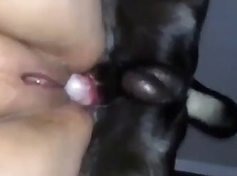 Dog Fuck Tgirl