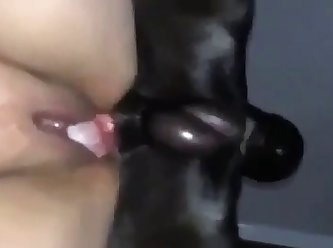 Dog Fuck Tgirl