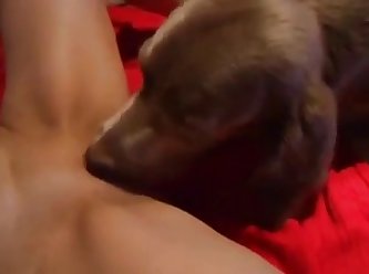 Man Fuck Tiny Dog Pussy