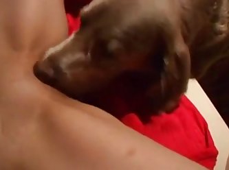 Man Fuck Tiny Dog Pussy