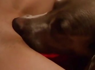 Man Fuck Tiny Dog Pussy