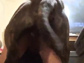 Dog Fuck Wife Story Porn