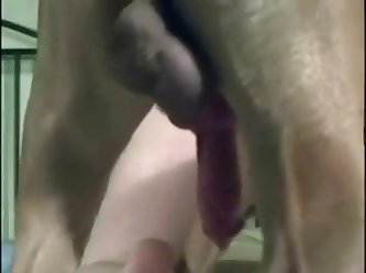 Bestiality Secretly Recorded Teen First Time Fuck With Dog