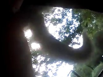 Old Men Fuck Dog