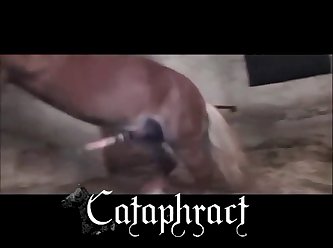 Porn Free Red