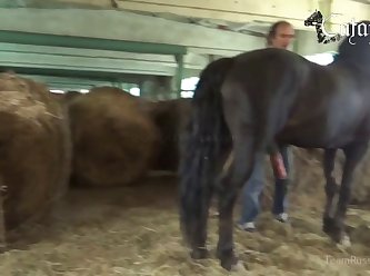 Why Do Dogs Lick Their Vagina