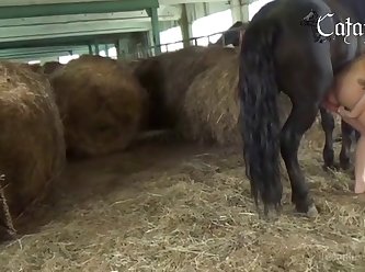 Why Do Dogs Lick Their Vagina