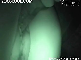K9 Dildo Porn