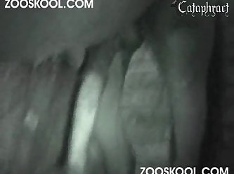 K9 Dildo Porn