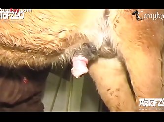 Porno Sex Tube