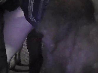 Hd Porn Doggy