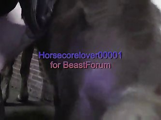 Hd Porn Doggy
