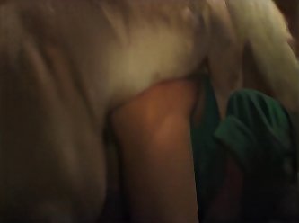 Guy Fucks His Cat