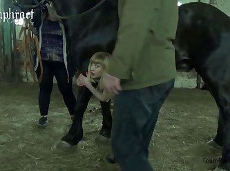 Husky Anal