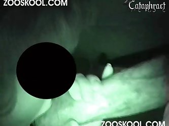 Dog Licks Teens Ass
