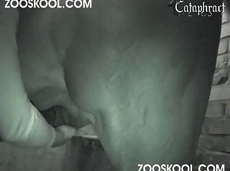 Dog Licks Teens Ass