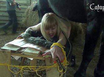 Beastiality Telegram Group