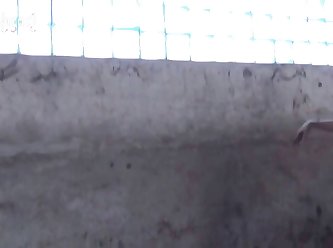 Ztube Porn