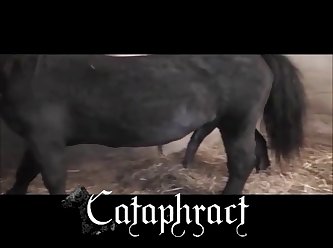Aggressive Riding Porn