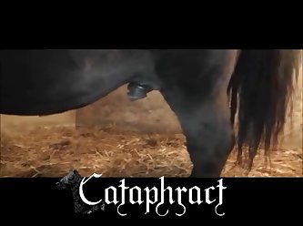 Aggressive Riding Porn