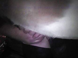 Pet This Fucking Puppy