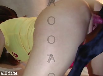 Porn Animals Free
