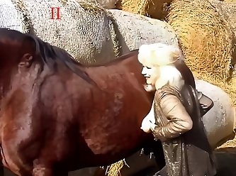 What Are The Horniest Animals