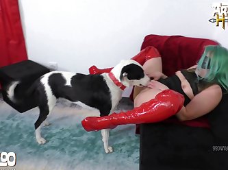Free Video Animal Porn