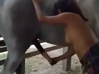Zoolife Tv