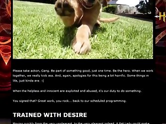 Woman Doing Sex With Animal