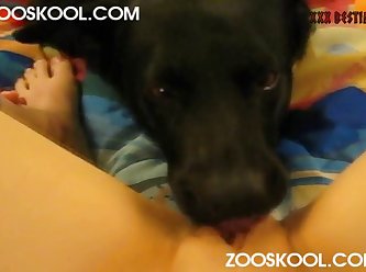 Animal Sex Cartoon Porn