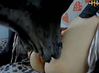 Xx Sex Animal
