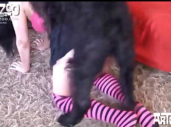 Free Sex Animal Porn