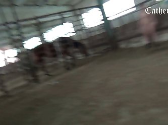 Animal Video Sex