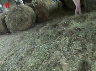 Animal Zoo Sex