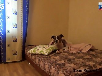 Animal Sex Telegram