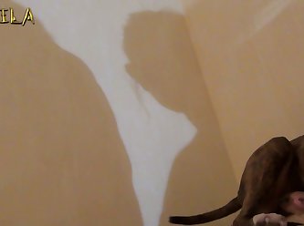 Women Having Sex With Animal Videos