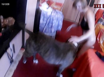 Women Animal Sex
