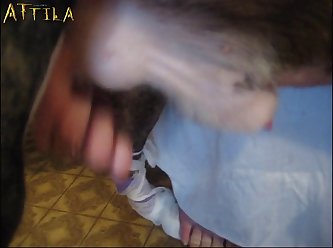 Sex With Dead Animal