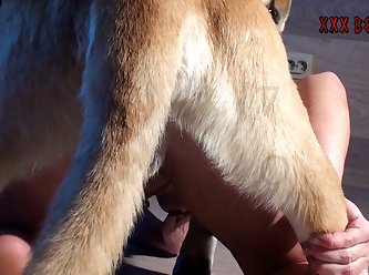 Sex With Animal Porn