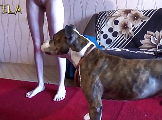 Animal Sex Gifs