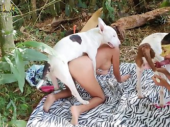 What Is It Like To Have Sex With An Animal