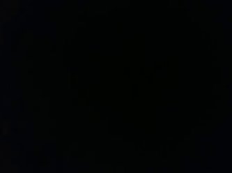 Animal Best Sex Videos