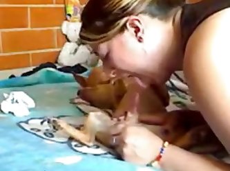 Animal Sex Yorkie