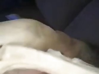 Women Animal Sex Videos