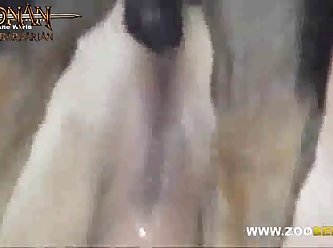 How Animal Have Sex