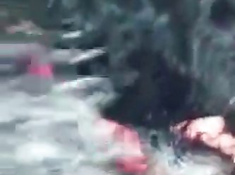 Man Animal Sex Video