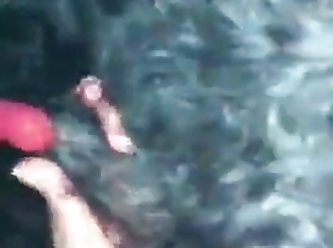 Man Animal Sex Video